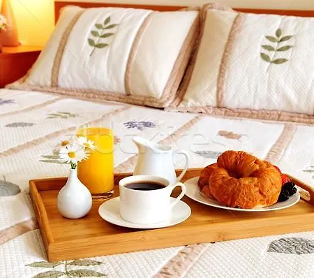 Maistrali Diafánion